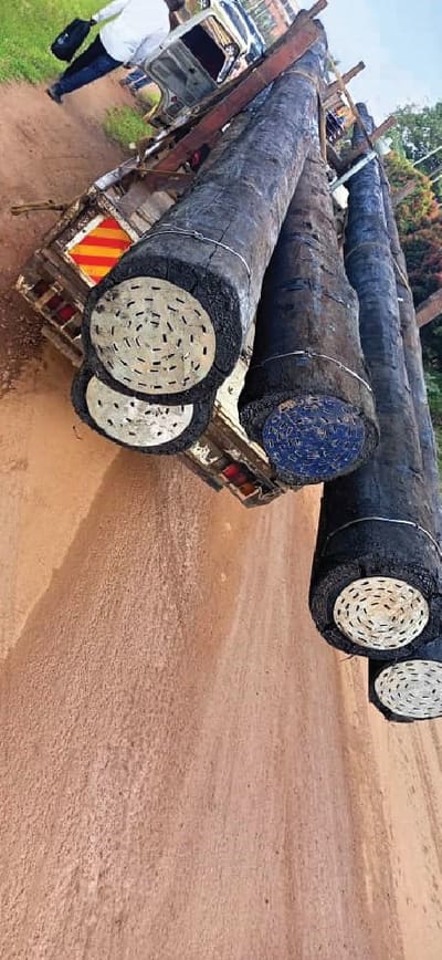 Treated transmission poles loaded for delivery to site